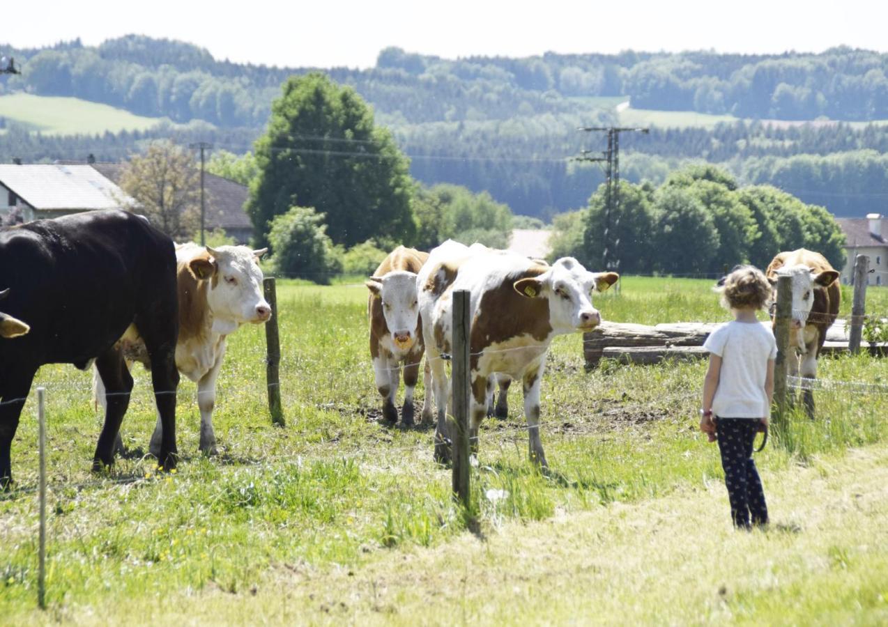 Ferienhof Forstmoar Gars Zewnętrze zdjęcie